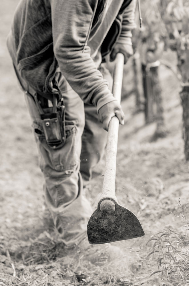 Tilling The Soil